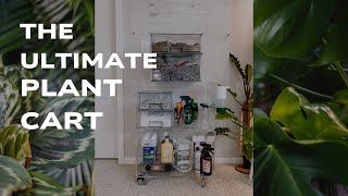 Everything you need (and a little extra) to keep your plants happy!