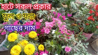 ৫০ টাকায় বিরাট গোলাপ গাছ. এই হাটে সকল প্রকার ফুল ও ফল গাছের দাম জানুন 2023