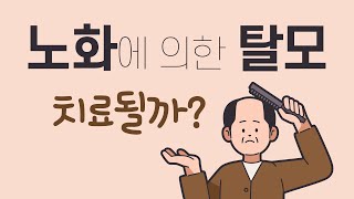 노화에 의한 탈모 치료될까