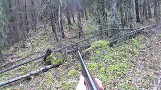 Hunting for Ruffed Grouse in Alberta.  Learning the hard way to shoot video and hunt.