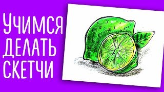 Как нарисовать ЛАЙМ / Учимся делать скетчи