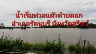 น้ำเริ่มท่วมแล้วตำบลแก​ อำเภอรัตนบุรี​ จังหวัดสุรินทร์