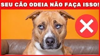 10 coisas que os DONOS fazem que os CÃES odeiam ! DICA ANIMAL