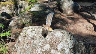 Прогулка по заповеднику КРАСНОЯРСКИЕ СТОЛБЫ☺️