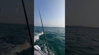 Fishing Paradise #fishing #shorts #shortvideo