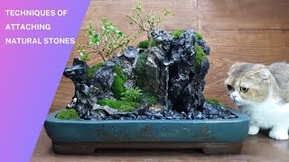 how to attaching natural stones | Create a landscape of bonsai forests on cliff