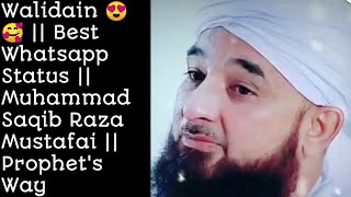 #shorts Walidain Ki Kabar Per Jumma Ko Jana Chahiye || Muhammad Saqib Raza Mustafai || Prophet's Way