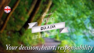 Your decision: heart and responsability - Lucidity Day by Day