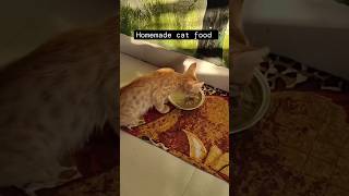 Home made cat food #shorts #viral #trending #reels #ytshots