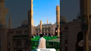 Masjid Al Nabawi Madina #shorts #madinah @allohga_munojot