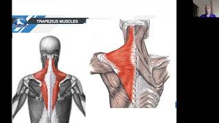 Shoulders, Ribs and T-Spine: The Devil you Don't Know!