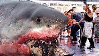 What THEY CAPTURED in the ocean TERRIFIED the entire world!