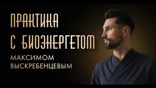 Созвон с биоэнергетом 28.08