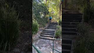 Stair Set Gapping (Oatley Park)