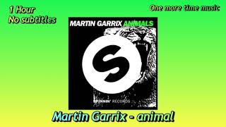 [1 Hour, No lyrics, EDM]  Martin Garrix - animal