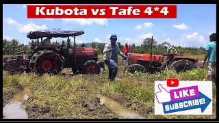 #paddycultivation#kubota#Tafe#Tractor#Tractorworld#4*4#offroad#srilanka#rattanew#polonnaruwa