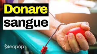 Come Funziona la Donazione del Sangue: Chiariamo Tutti i Dubbi