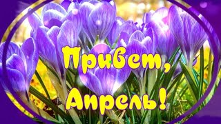 ПРИВЕТ,АПРЕЛЬ!Музыкальное поздравление!