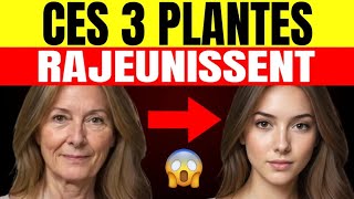 Voici les 3 PLANTES de la Jeunesse qui te donnent du COLLAGÈNE et FAVORISENT ta PEAU.