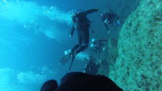 plongée calvi en apnée