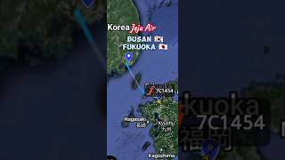 Busan - Fukuoka | Jeju Air Boeing 737 Flight Report #aviationlovers #flightradar24