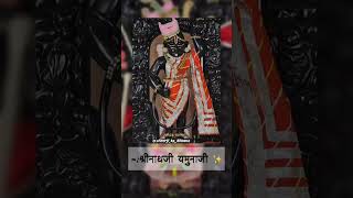 मारा घटमा बिरजता श्रीनाथजी - Mara ghatma birajta Shrinathji #shorts #bhajan #pushtimarg #shrinathji