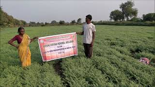 KVK- ADILABAD -Seed To Seed Mechanization in Bengal gram