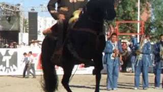 Campeonato Nacional de Caballos Bailadores Expo Ganadera Jalisco 2010