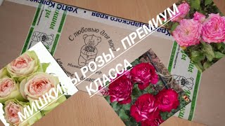 Распаковочка посылки// Мишкины Розы - Премиум класса//04.04.23🌹🌹🌹