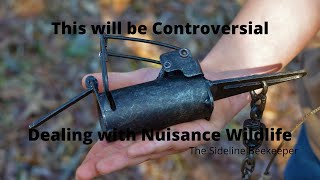 Beekeeping: Dealing with Nuisance Wildlife | Controversial Beekeeping Pt. 1