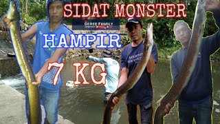 MANCING sidat raksasa NGAMUK SAAT DI TARIK‼️