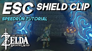 The FRAME PERFECT Trick that SCARES Breath of the Wild Speedrunners (ESC Tutorial - 2021)