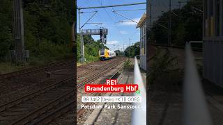 Die BR 3462 (Desiro HC) der ODEG durchfährt als RE1 Potsdam Park Sanssouci | ÖPNVinBB | #shorts