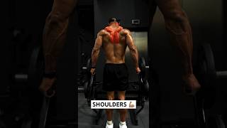 Let's build those SHOULDERS 💪🏽 Like and save for your next session. #shorts