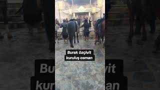 kuruluş osman kamera arkası-13