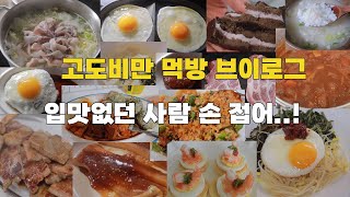 폭식 고도비만 다이어트 브이로그 / 삼겹살 소불고기 떡볶이 나물비빔밥 주먹밥 스낵면 양념장어 햄버그 스테이크 오징어콩나물국 오차즈케 오예스 사골국 비빔밥 카나페 비프스튜 목살구이