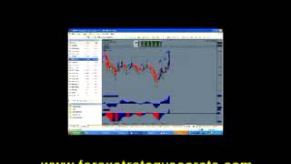 Trade Master  Free Forex Live Trading Webinar