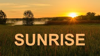 Sunrise and mist over a lake, Czechia - Time lapse [8K]