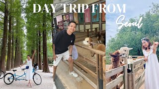 DAY TRIP FROM SEOUL 🇰🇷 Alpaca World, Nami Island & Gangchon Rail Park! Korea Travel Vlog