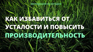 Как избавиться от усталости и повысить свою производительность | Мотивация