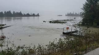 Squamish Estuary Culvert #4 estuary side during atmospheric river event