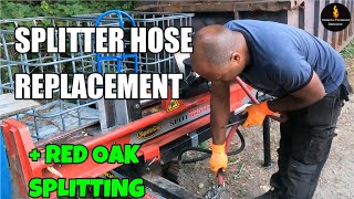 RED OAK DESTRUCTION & WOODSPLITTER HOSE REPLACEMENT