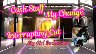 Cash Stuff My Change #budgeting #savings #catinteruption