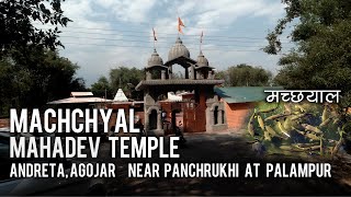 A Visit to Machchyal - मच्छयाल  for Feeding Fishes | Machchyal Mahadev Temple  at Andretta, Palampur