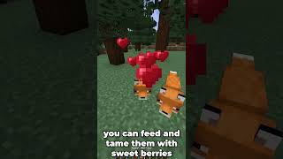 The Minecraft Fox #shorts