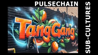 Pulsechain Subcultures - The Tang Gang