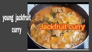 Srilankan easy  young jackfruit curry 👍(polos curry )