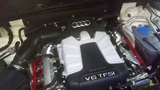 Audi S4 B8.5 S-Tronic cold start camchain tensioner noise