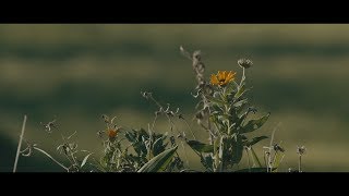 Panasonic GH5s Sample Footage