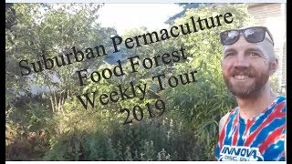 Harvest Season: Permaculture Food Forest Full Tour 2019